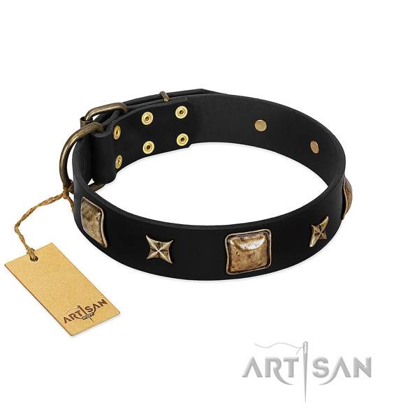 Full grain leather dog collar of quality material with exceptional adornments