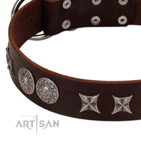 Incredible full grain leather dog collar with durable buckle