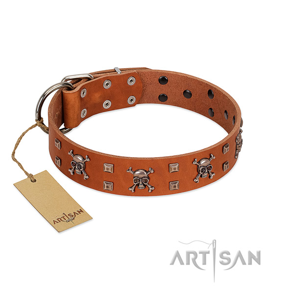 Full grain leather dog collar with designer embellishments