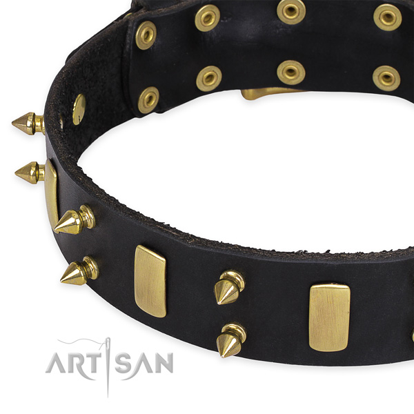 Daily walking adorned dog collar of durable natural leather