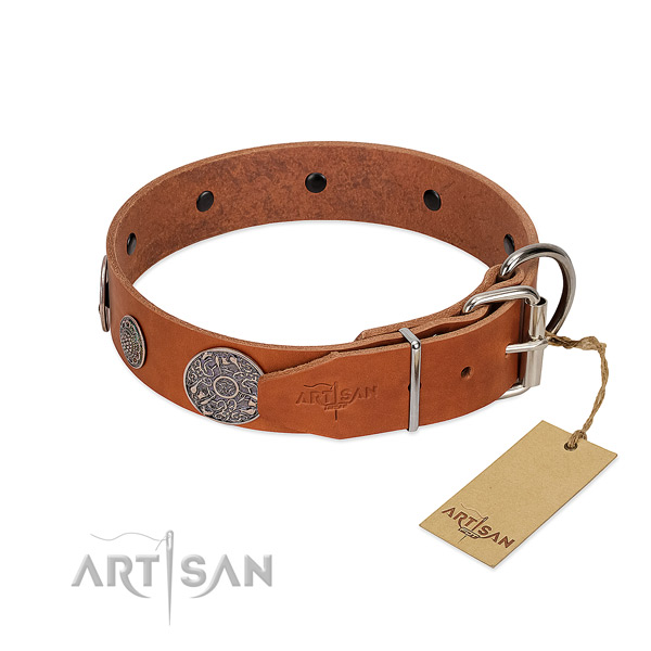 Amazing full grain leather collar for your handsome pet