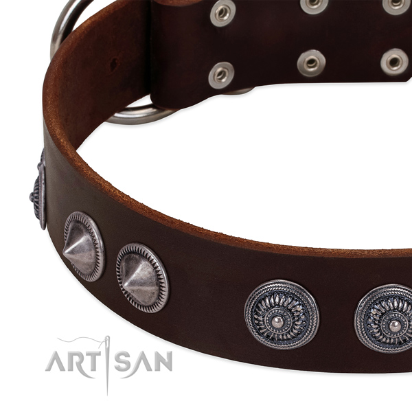 Soft full grain natural leather dog collar with designer adornments