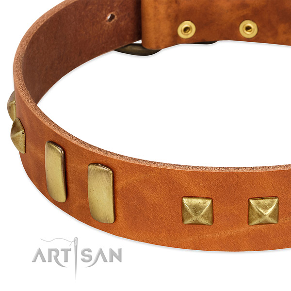 Best quality full grain genuine leather dog collar with studs for handy use