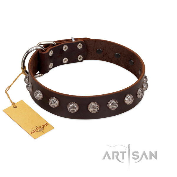 Reliable hardware on designer full grain leather dog collar