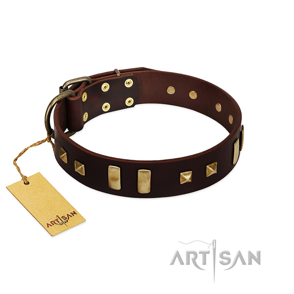 Full grain leather dog collar with corrosion proof hardware