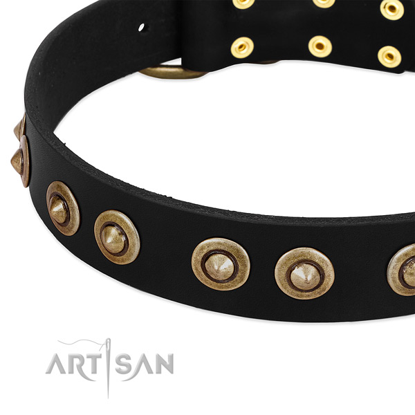 Corrosion proof embellishments on full grain genuine leather dog collar for your four-legged friend