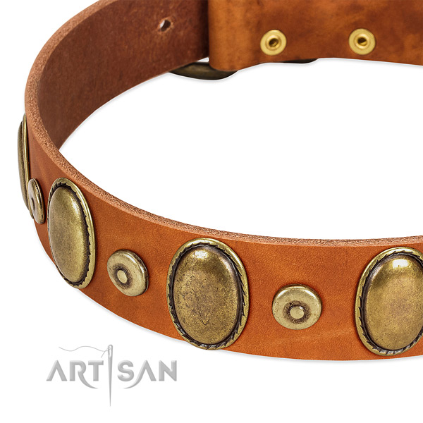Best quality full grain genuine leather collar handmade for your four-legged friend