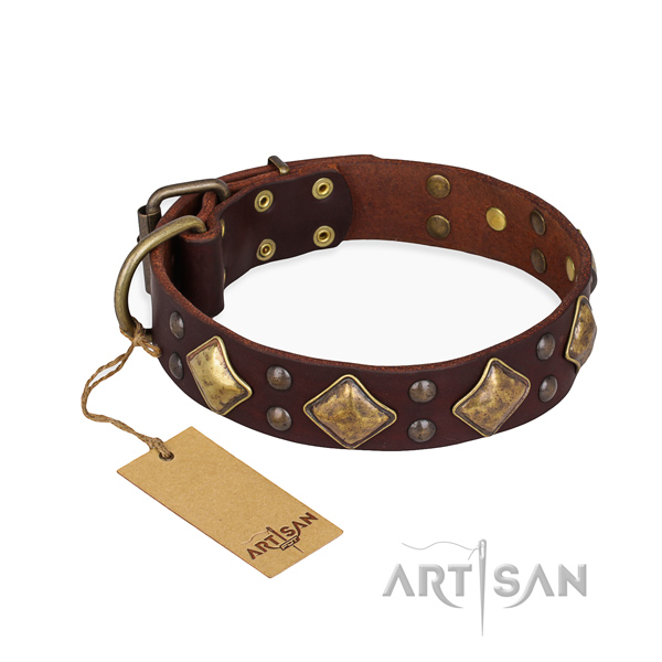 Daily walking trendy dog collar with rust-proof buckle