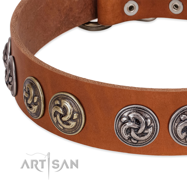 Handmade leather dog collar for daily use