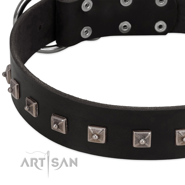 Top notch full grain leather collar with adornments for your four-legged friend