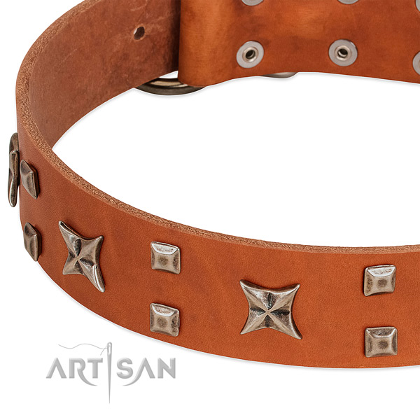 Gentle to touch natural leather dog collar with decorations for everyday use