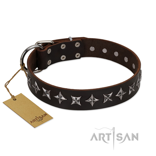 Fancy walking dog collar of reliable natural leather with embellishments