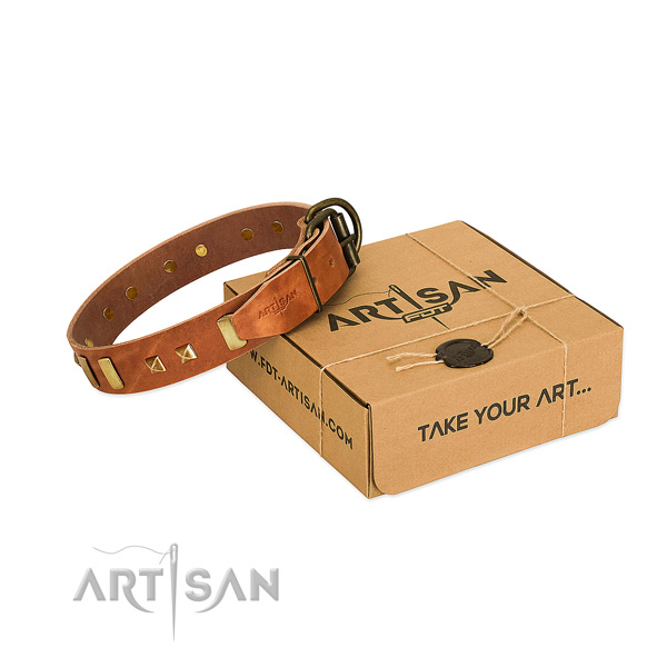 Gentle to touch full grain genuine leather dog collar with adornments for walking