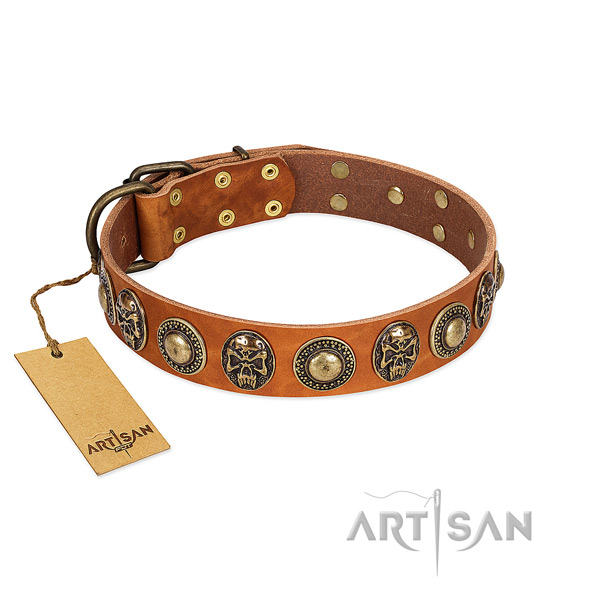 Adjustable full grain natural leather dog collar for daily walking your canine