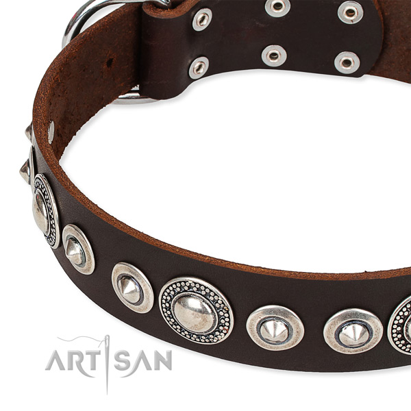 Comfortable wearing embellished dog collar of finest quality full grain natural leather
