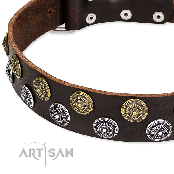 Stylish walking embellished dog collar of durable genuine leather