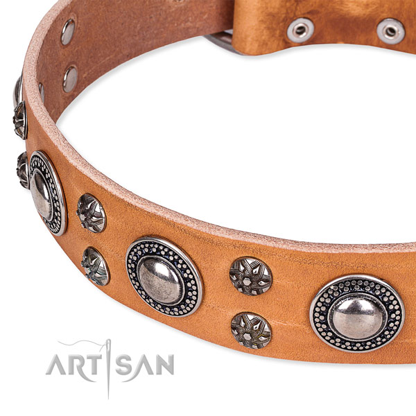 Daily use embellished dog collar of top notch full grain leather