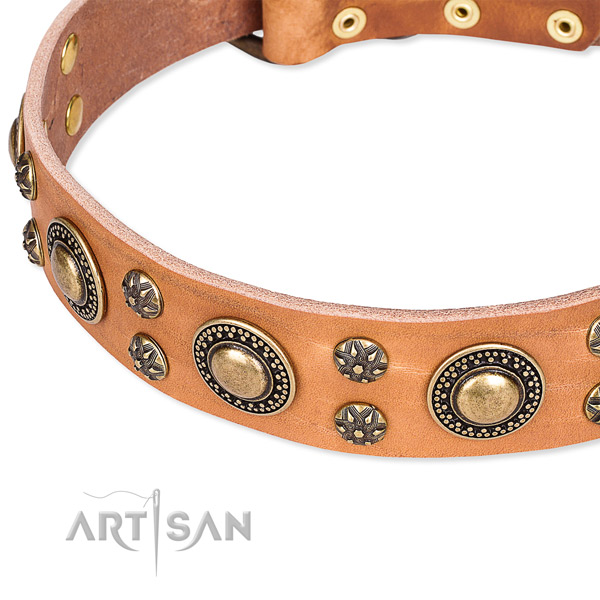 Stylish walking decorated dog collar of best quality genuine leather