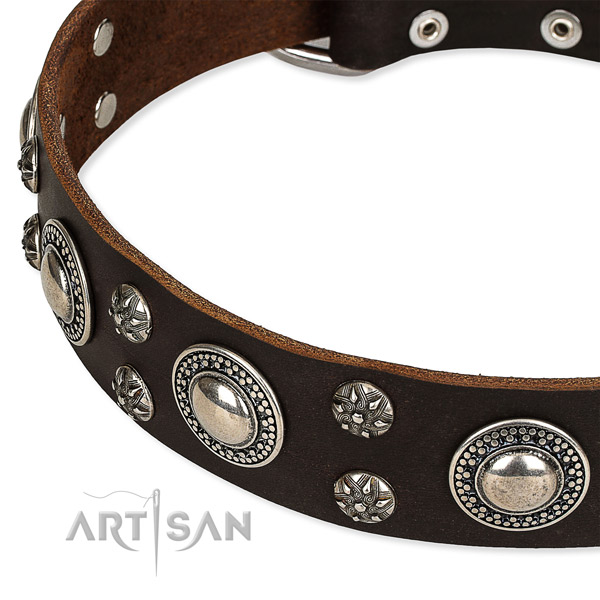 Easy wearing decorated dog collar of best quality full grain natural leather