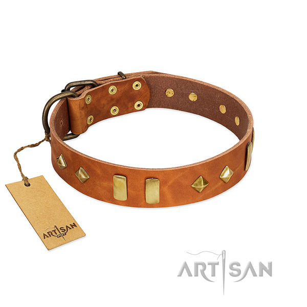 Daily use top notch leather dog collar with studs