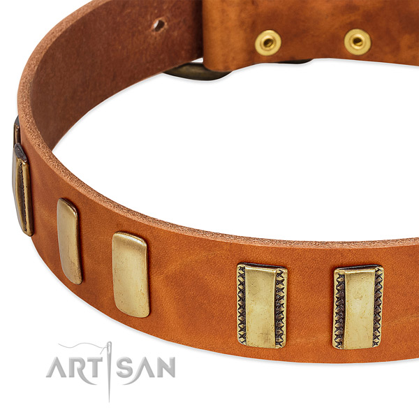 Top rate genuine leather dog collar with embellishments for comfy wearing