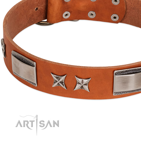 Quality leather dog collar with durable buckle
