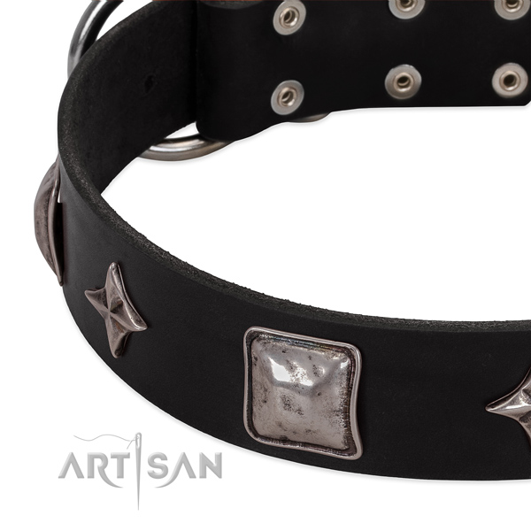 Comfortable wearing full grain leather dog collar with remarkable adornments