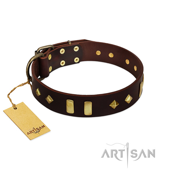 Full grain natural leather dog collar with corrosion proof hardware for everyday use