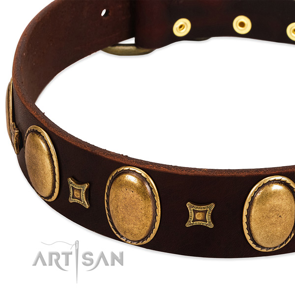 Gentle to touch full grain natural leather dog collar with decorations for everyday walking