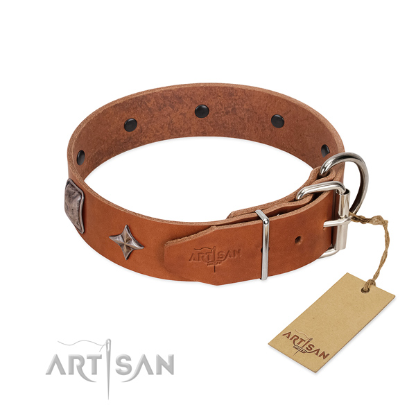 Reliable full grain natural leather dog collar with stunning decorations