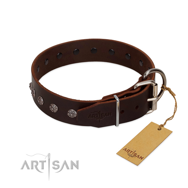 Flexible full grain natural leather dog collar with adornments for your pet