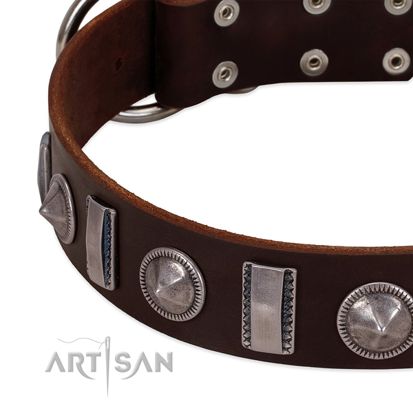 Significant embellished natural leather dog collar for walking