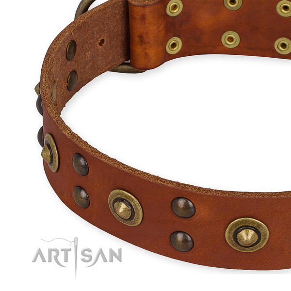 Leather collar with rust resistant traditional buckle for your attractive dog