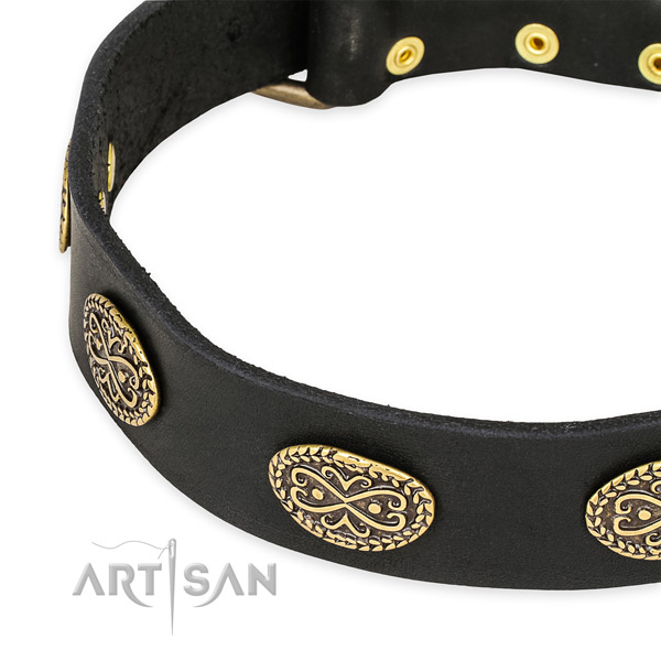 Stunning leather collar for your attractive pet