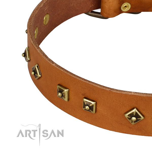 Incredible full grain genuine leather collar for your lovely doggie