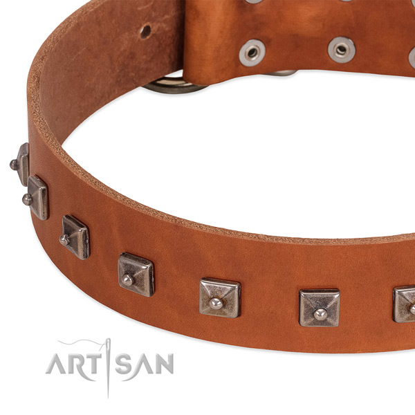 Quality full grain natural leather dog collar with inimitable embellishments