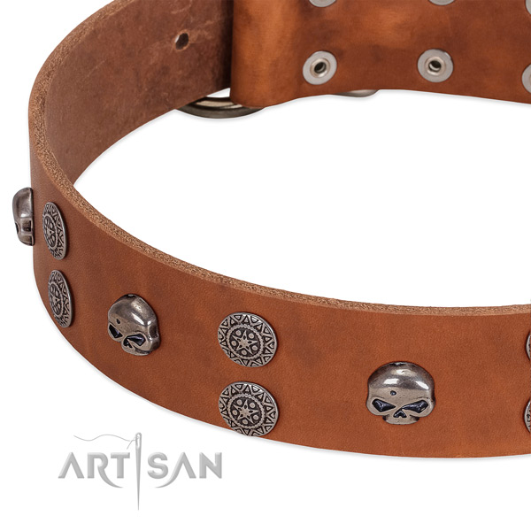 Top rate full grain genuine leather dog collar with amazing adornments
