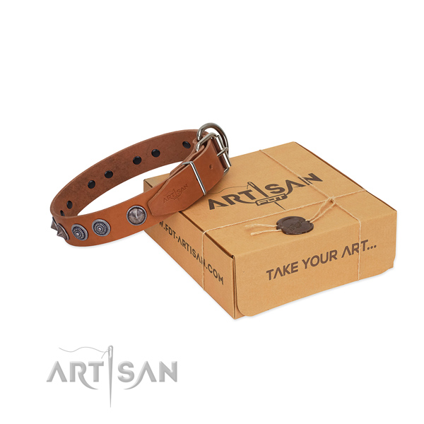 Rust-proof hardware on genuine leather dog collar for daily walking your dog
