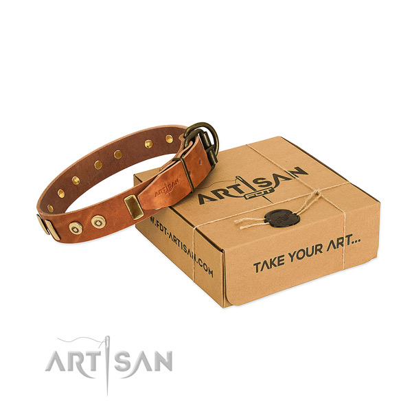 Full grain leather dog collar with stylish design studs for walking