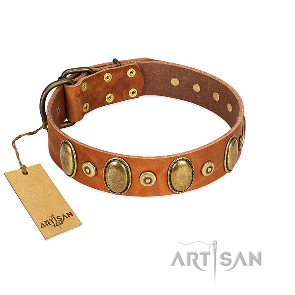 High quality full grain natural leather collar created for your four-legged friend