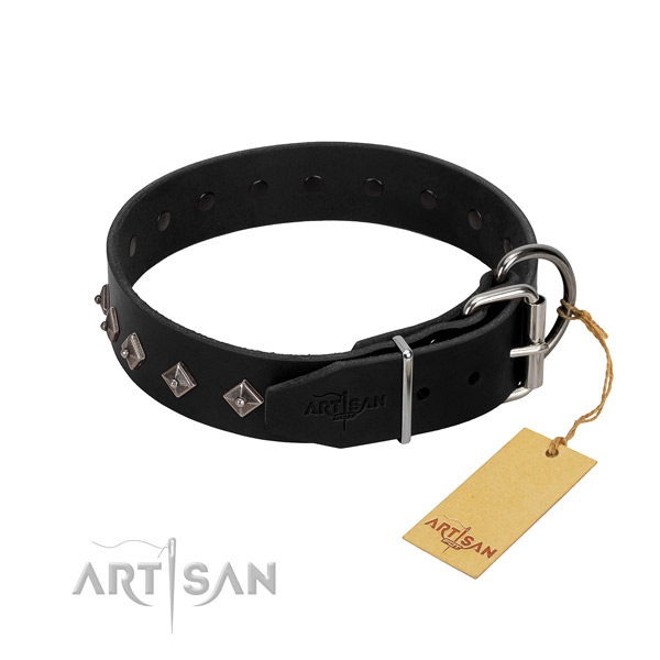 Leather dog collar with amazing decorations for your doggie
