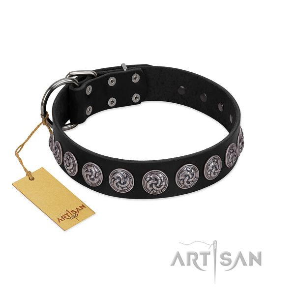 Studded natural leather dog collar with corrosion resistant fittings