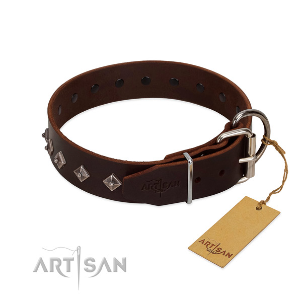 Top notch decorations on genuine leather collar for handy use your pet