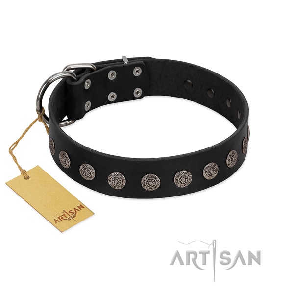 Amazing full grain leather collar for your doggie
