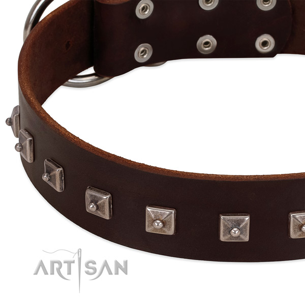 Flexible full grain leather dog collar with remarkable adornments