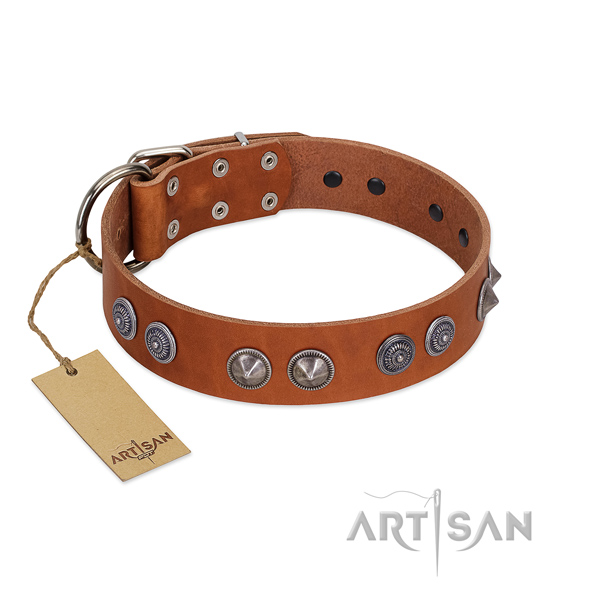 Durable buckle on comfy wearing collar for your four-legged friend