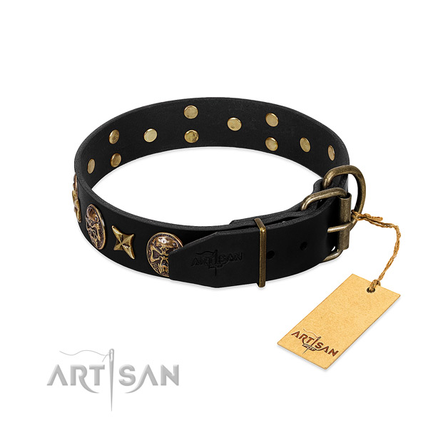 Rust-proof adornments on leather dog collar for your dog