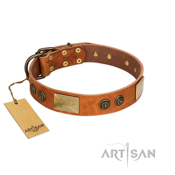 Awesome leather dog collar for fancy walking