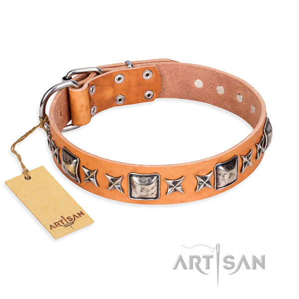 Walking dog collar of quality genuine leather with decorations
