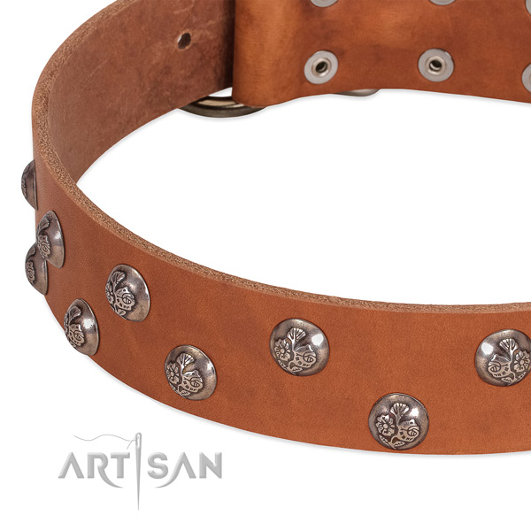 Full grain natural leather dog collar with corrosion proof hardware and decorations